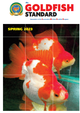 Spring 2023 Goldfish Standard