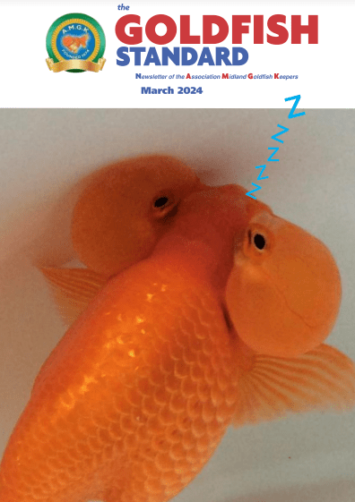 March 2024 Addition of The Goldfish Standard